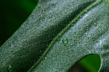 汲取知识：如何正确使用湿度计