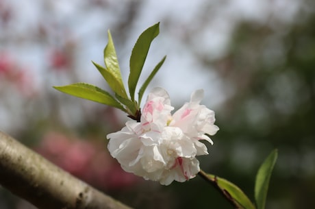 林峰演的电视剧大盘点，获奖无数