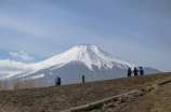 青山有幸埋忠骨(青山有幸埋忠骨：中华民族英雄事迹)